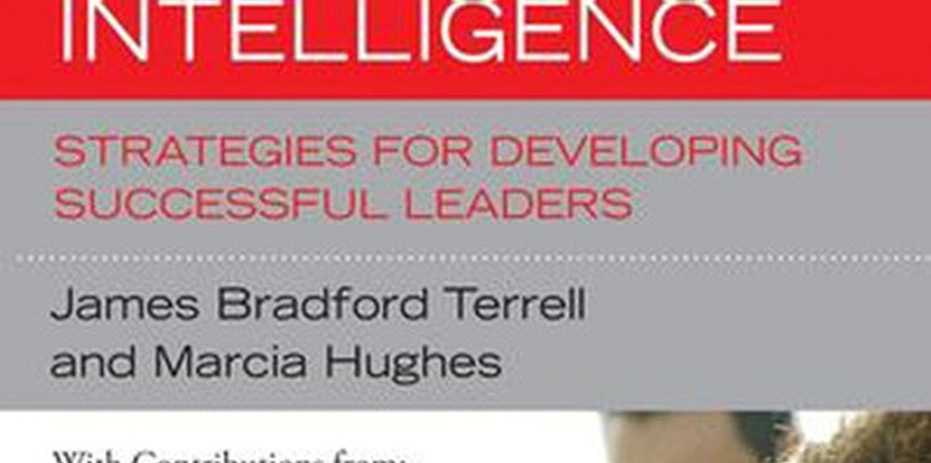Executive coaching session focused on emotional intelligence